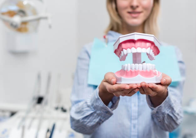 nomes de clinicas odontologicas dentista segurando um prototipo de maxilar 